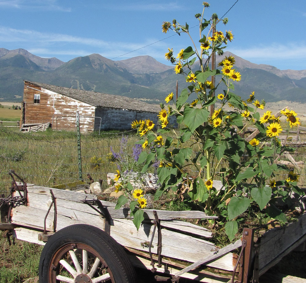 Westcliffe Home and Ranch,homes in Westcliffe, Colorado horse properties, Colorado mountain home, ranches in Colorado